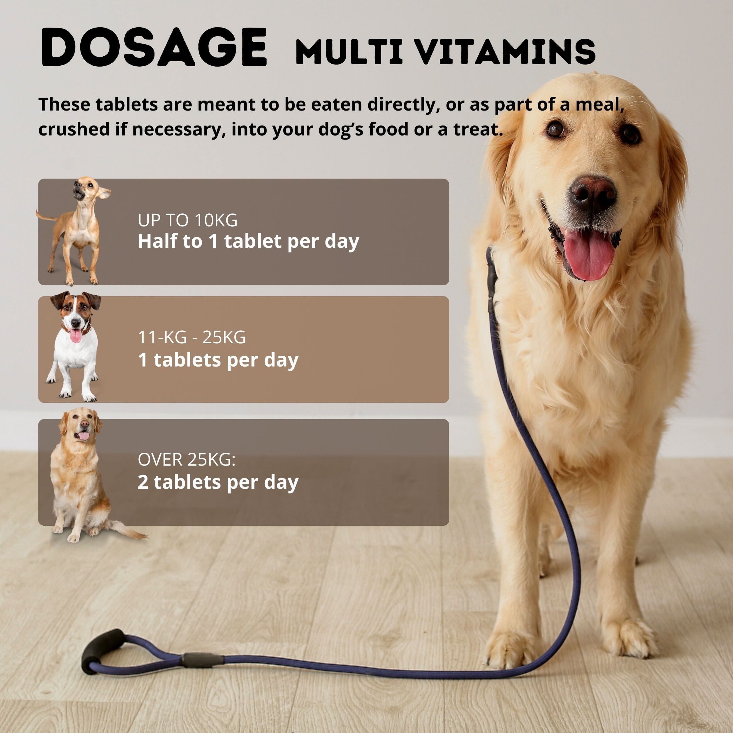 Multi Vitamins For Dogs » Pet Care For Dogs